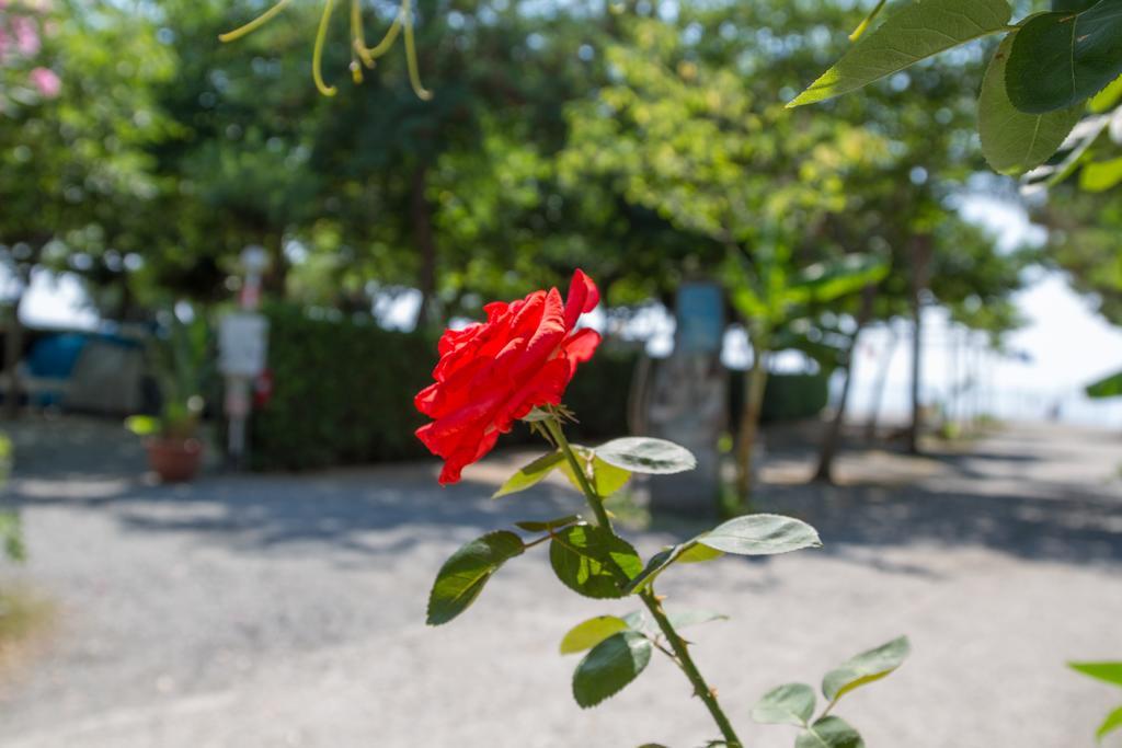 Camping La Focetta Sicula SantʼAlessio Siculo Zewnętrze zdjęcie